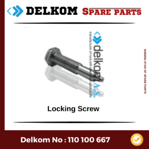 Locking Screw