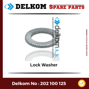Lock Washer