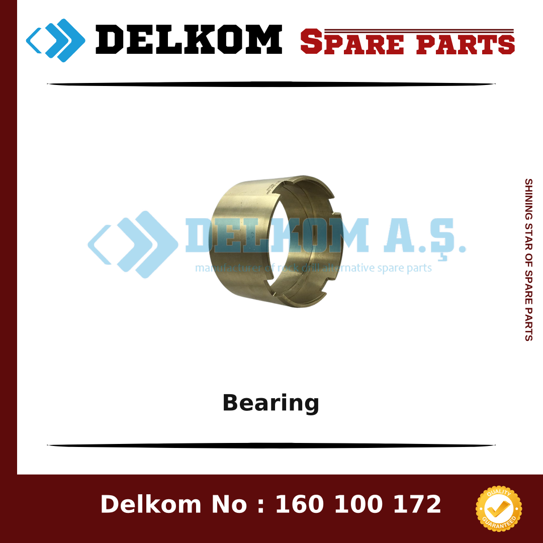Soosan Bearing spare part, OEM 160 100 172
